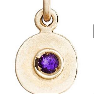 Birth Jewel Mini Disk Charm with Amethyst